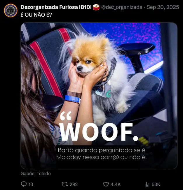 Dezorganizada 'WOOF' meme tweet