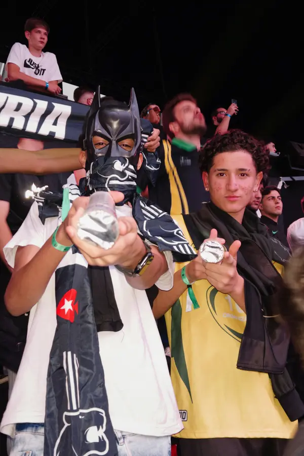 Masked fan in the stands